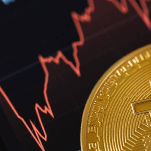 5 NFT projects you should learn about